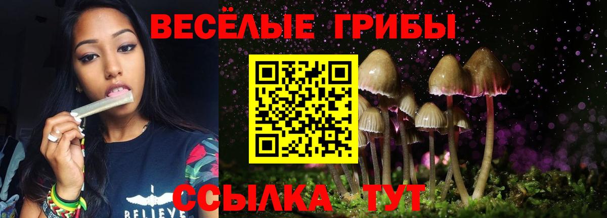 Псилоцибиновые грибы ЛСД Вышний Волочёк