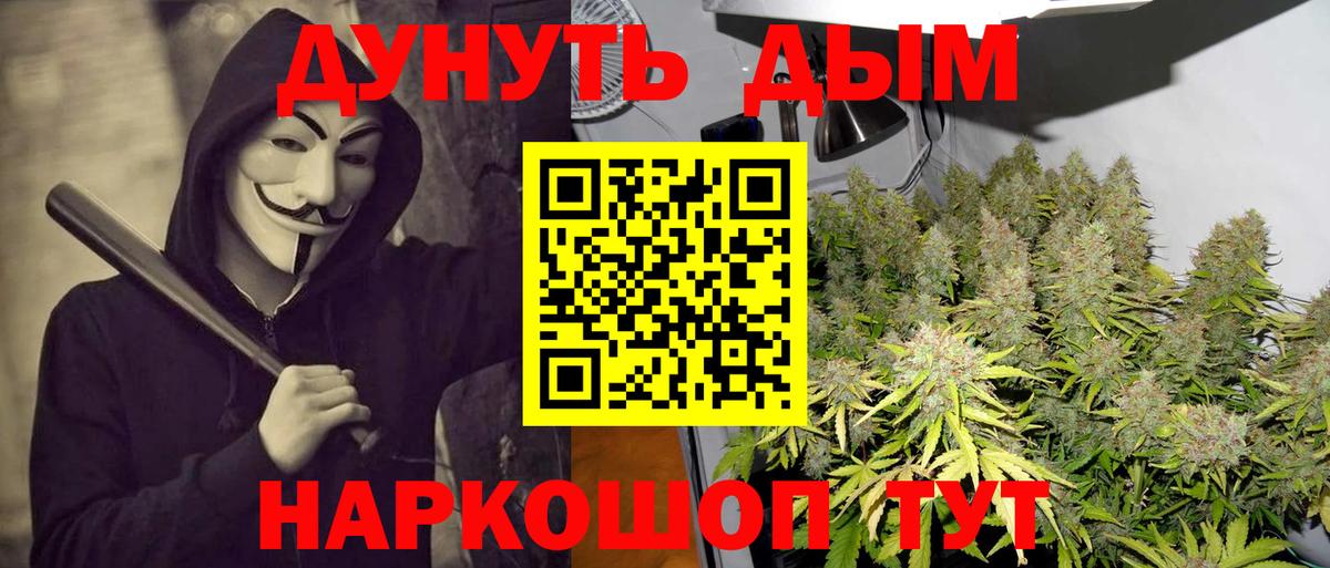 Вышний Волочёк  Шишки марихуана индика  Шишки марихуана гибрид  Вход с VPN 